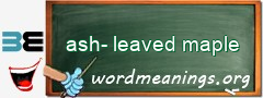 WordMeaning blackboard for ash-leaved maple